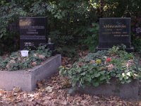 Szőnyi István - Koronkai Károly